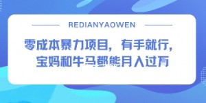 零成本暴力项目，有手就行，宝妈和牛马都能月入过W