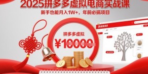 2025拼多多虚拟电商实战课，新手也能月入1W+，年前必搞项目！