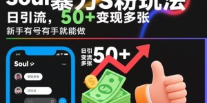 soul暴力S粉玩法，日引流50+变现多张，新手有号有手就能做