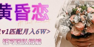 副业拆解：黄昏恋1对1匹配月入6个，潜力巨大