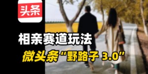 微头条“野路子3.0”相亲赛道玩法，搬砖式操作单号稳定3张