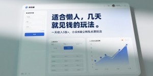 适合懒人，几天就见钱的玩法，一天收入5张+，小众B端公转私长期玩法