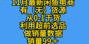 K总部落《11月最新闲鱼有无货源从0-1干货版打造销量店铺数据》