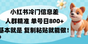 小红书冷门信息差项目，人群精准，单号日入多张，基本就是复制粘贴就能做