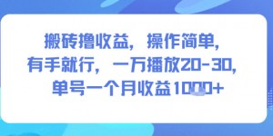 搬砖撸收益，操作简单，有手就行，一万播放20-30，单号一个月收益1k+