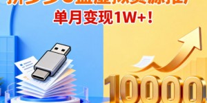 拼多多卖U盘虚拟资源，搭配商品推广，单月变现1W+！