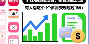 小红书虚拟项目，指数测试玩法，有人靠这个1个多月变现超过1W+