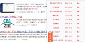 暴利CPA赚钱项目，平台每天进账200+