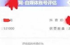 短视频音乐号怎么盈利（这样运作短视频音乐号才赚钱）