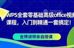 WPS全套零基础高级office视频课程，入门到精通一套搞定！