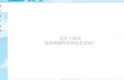 外面收费199的油管视频下载器，批量下载一键去水印软件