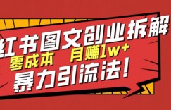 小红书图文创业拆解，暴力引流法，零成本月入1w+【揭秘】