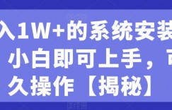 月入1W+的系统安装赛道、小白即可上手，可永久操作