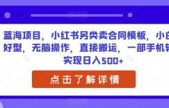 蓝海项目，小红书另类卖合同模板，小白友好型，无脑操作，直接搬运，一部手机轻松实现日入500+