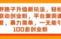 野路子升级新玩法，轻松联动创业粉，平台漏洞速看，暴力简单，一天能引100多创业粉