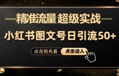 日引50+精准流量，小红书图文号，超级实战的小红书引流课，适合新手小白的项目