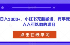 日入2000+，小红书无脑搬运，有手就行，人人可以做的项目