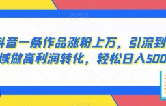 抖音一条作品涨粉上万，引流到私域做高利润转化，轻松日入500+