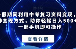 暑假期间利用中考复习资料变现，多种变现方式，助你轻松日入500+，一部手机即可操作