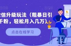 微信升级玩法（粗暴日引千粉，轻松月入几万）