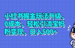 小红书掘金玩法升级，0成本，轻松引流宝妈粉变现，日入500+