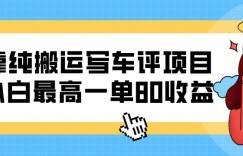 靠纯搬运写车评项目，小白最高一单80收益