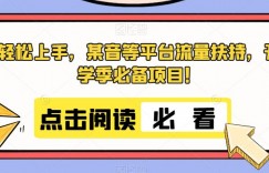 轻松上手，某音等平台流量扶持，开学季必备项目！