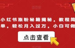 小红书涨粉秘籍揭秘，教程简单，轻松月入过万，小白可做