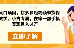 蓝海风口项目，拼多多短视频带货保姆级教学，小白专属，在家一部手机实现月入过万