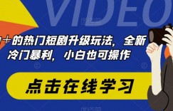 日入300＋的热门短剧升级玩法，全新思路，冷门暴利，小白也可操作