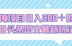 蓝海项目日入300＋的今日头条图文最新玩法