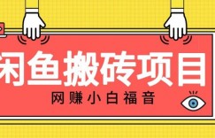 适合新手的咸鱼搬砖项目，日入50-100+，每天搞点零花钱