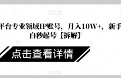 各大平台专业领域IP账号，月入10W+，新手小白秒起号【拆解】