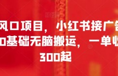 全新风口项目，小红书接广告变现，0基础无脑搬运，一单收入300起