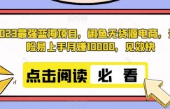 2023最强蓝海项目，闲鱼无货源电商，无风险易上手月赚10000，见效快