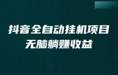 抖音全自动挂机薅羊毛，单号一天5-500＋，纯躺赚不用任何操作