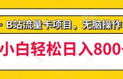 b站无脑操作流量卡，一单利润100-200+，轻松日入800+，可批量