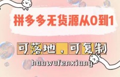 拼多多无货源从0到1，可落地，可复制