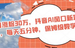 单月涨粉30万，抖音AI风口新项目，每天五分钟，保姆级教学