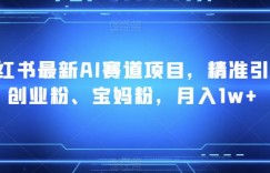 小红书最新AI赛道项目，精准引流创业粉、宝妈粉，月入1w+