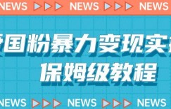 爱国粉暴力变现实操，保姆级教程