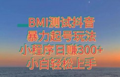 神图抖音小程序项目4.0版引流，日入300+暴力玩法小白轻松上手