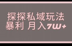 探探最新的私域玩法非常厉害操作简单，聊聊天就能有收入
