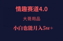 情趣赛道4.0，大哥用品，小白也能月入5w！