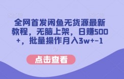 全网首发闲鱼无货源最新教程，无脑上架，日赚500+，批量操作月入3w+