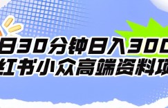 每日30分钟日入300＋小红书小众高端资料项目