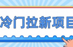 冷门拉新项目，一单4块，操作简单流量大，变现快