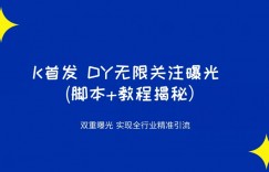 K首发DY无限关注曝光双重曝光实现全行业精准引流(脚本+教程揭秘）