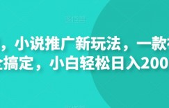 短剧，小说推广新玩法，一款神器全搞定，小白轻松日入200+