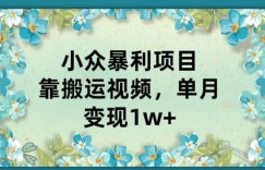 小众暴利项目，靠搬运视频，单月变现1w+